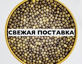 СВЕЖАЯ ПАРТИЯ В ОКТЯБРЕ