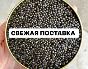 СВЕЖАЯ ПАРТИЯ ЧЁРНОЙ ИКРЫ