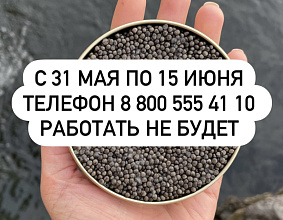 Связаться с нами можно...