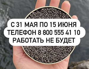 Связаться с нами можно...